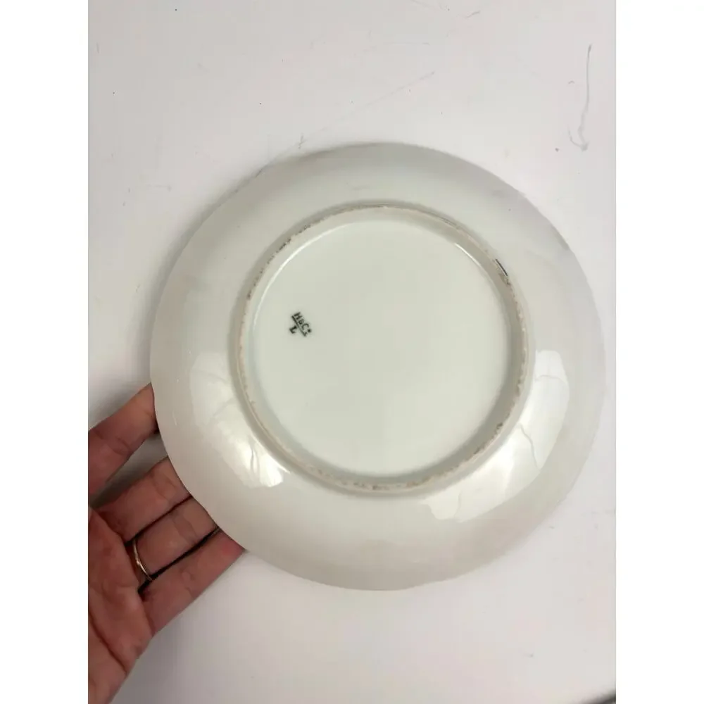 Antique H & C Haviland Limoges France 7.5